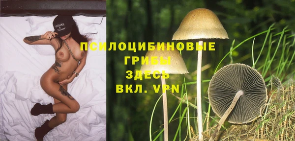 spice Володарск